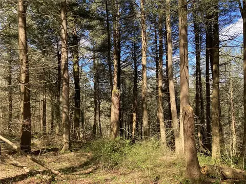 0 E Boulder Mountain Rd E, Andes, NY 13731
