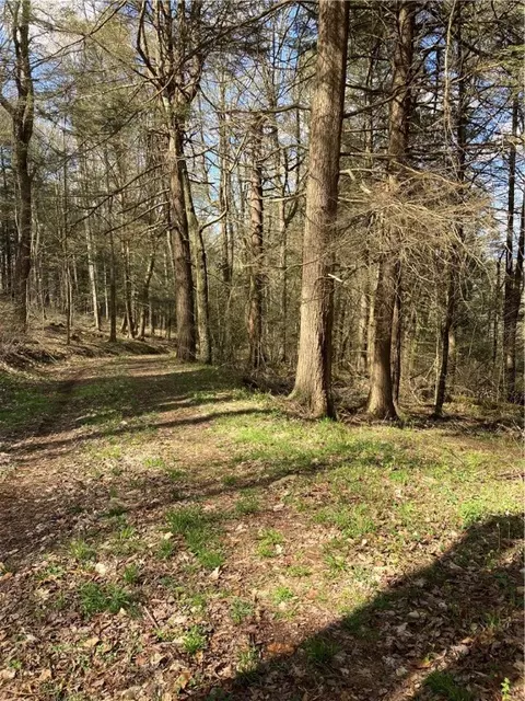 0 E Boulder Mountain Rd E, Andes, NY 13731 photo 4