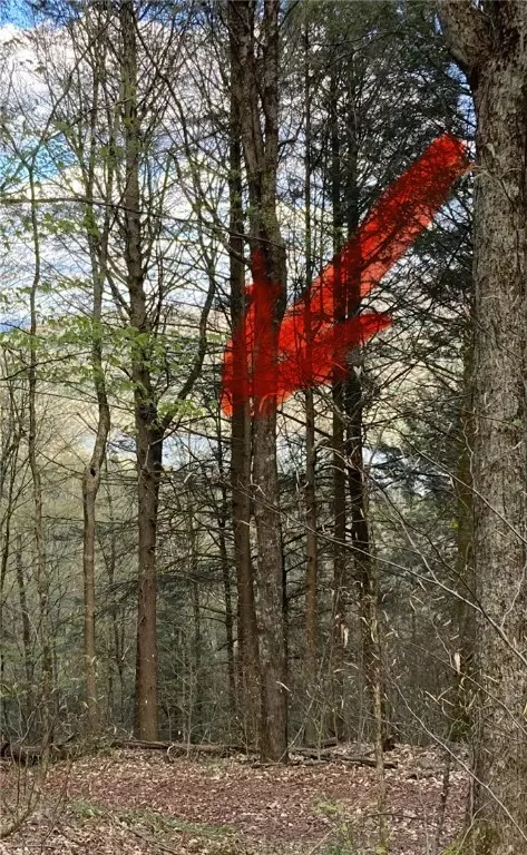 0 E Boulder Mountain Rd E, Andes, NY 13731 photo 13