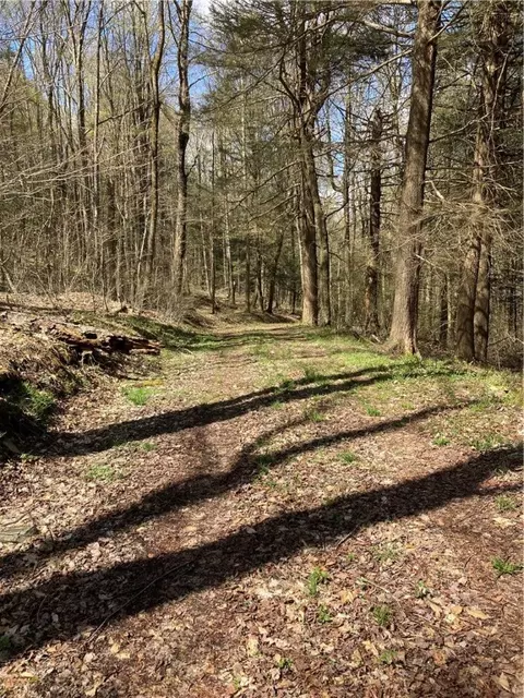 0 E Boulder Mountain Rd E, Andes, NY 13731 photo 9