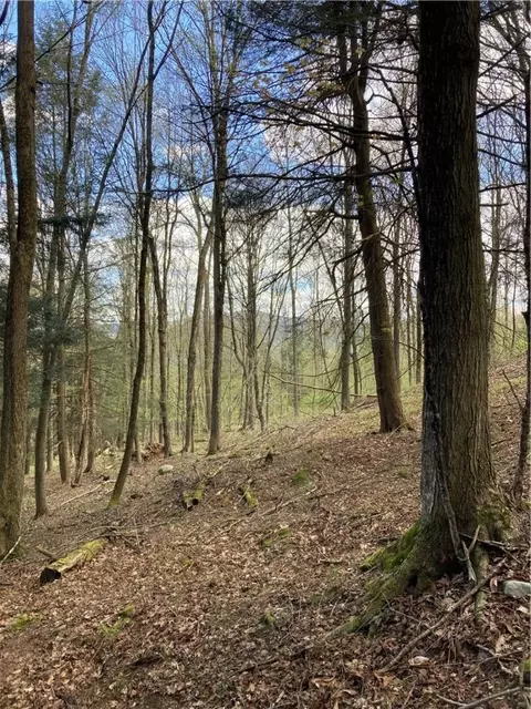 0 E Boulder Mountain Rd E, Andes, NY 13731 photo 10