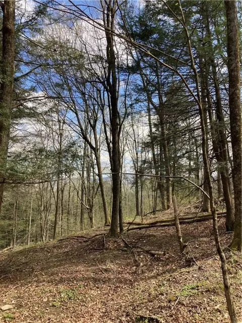 0 E Boulder Mountain Rd E, Andes, NY 13731 photo 12