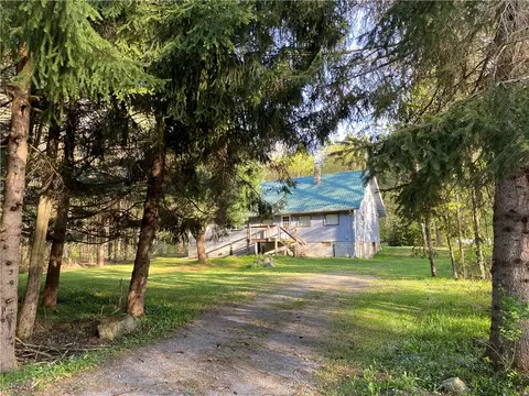 126 Dont Know Ln, Hamlin, PA 16740