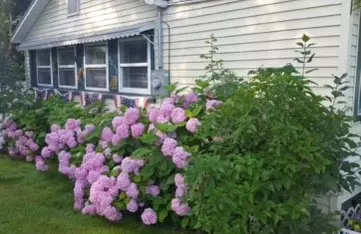8057 Hampton Ave, Huron, NY 14590 photo 8