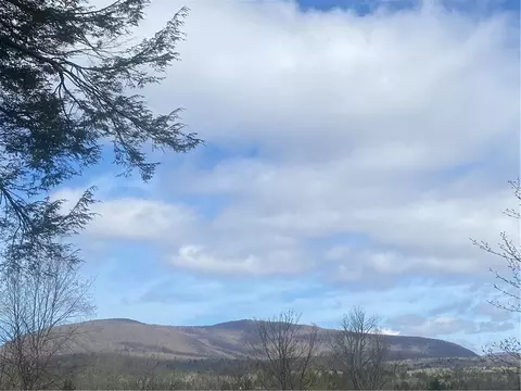 42 Prospect St, Hunter, NY 12485