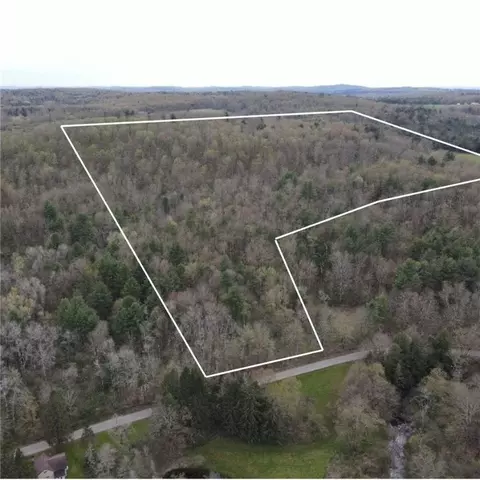 0 Hall Rd, Coventry, NY 13778