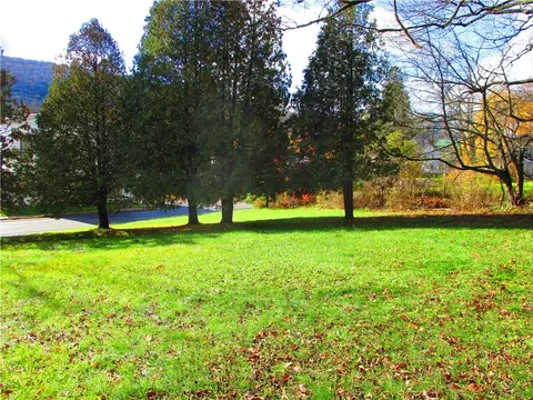 83 Main St, Schenevus, NY 12155 photo 36