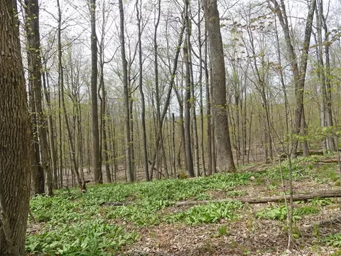 lot26 Timberland Dr, Andes, NY 13731