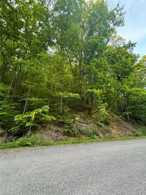 0 SE On Owasco Rd, Moravia, NY 13118