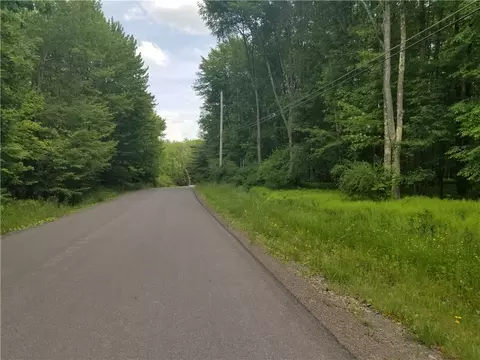 0 Pineway Dr, North Norwich, NY 13815