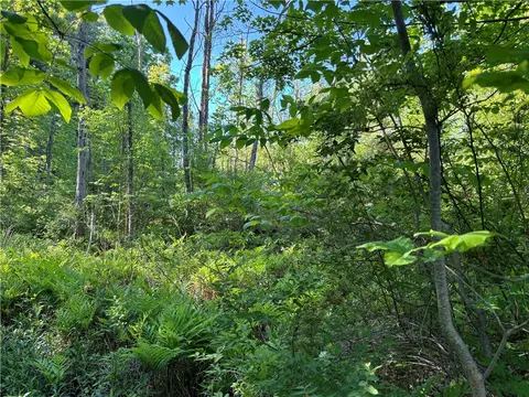 00 Darbys Corners Rd, Jerusalem, NY 14418 photo 8