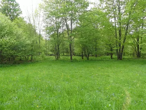 lot16 Davis Hollow Rd, Andes, NY 13731