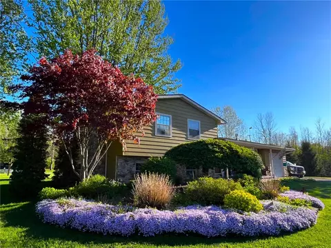 11602 Portage Rd, Ridgeway, NY 14103