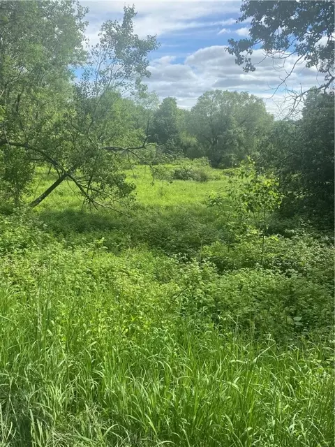 0 Bailey Rd, Gilboa, NY 12076