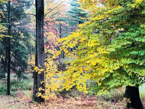 270 E Lake Rd, Conquest, NY 13140 photo 33