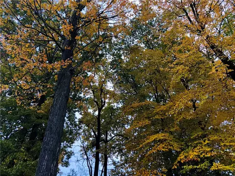 270 E Lake Rd, Conquest, NY 13140 photo 36