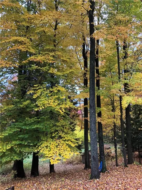 270 E Lake Rd, Conquest, NY 13140 photo 35