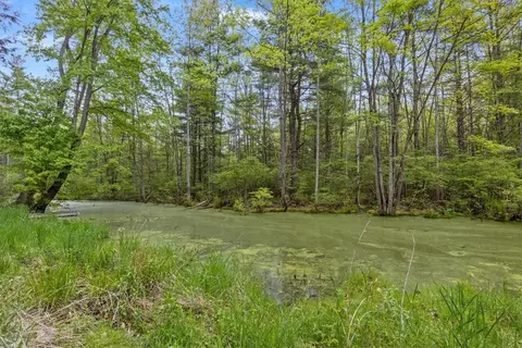 270 E Lake Rd, Conquest, NY 13140 photo 27