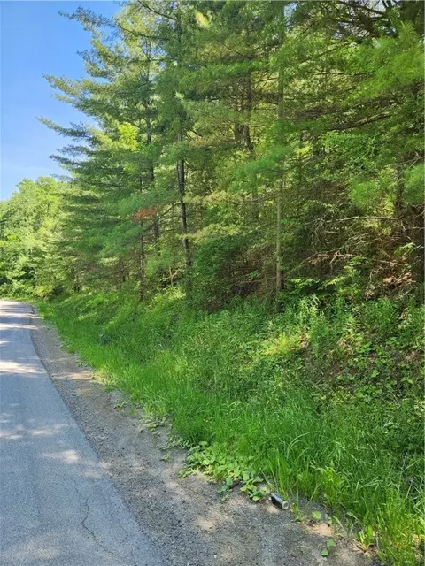 0 Sand Pit Rd, Bath, NY 14810 photo 2