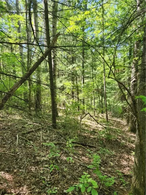 0 Sand Pit Rd, Bath, NY 14810 photo 10