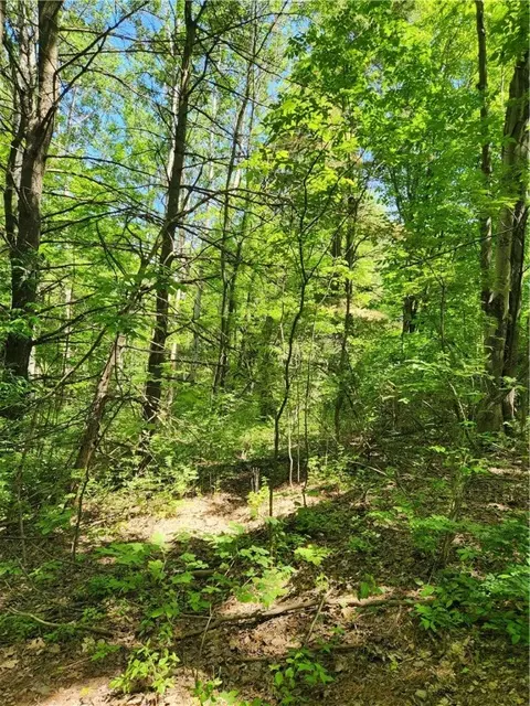 0 Sand Pit Rd, Bath, NY 14810 photo 14