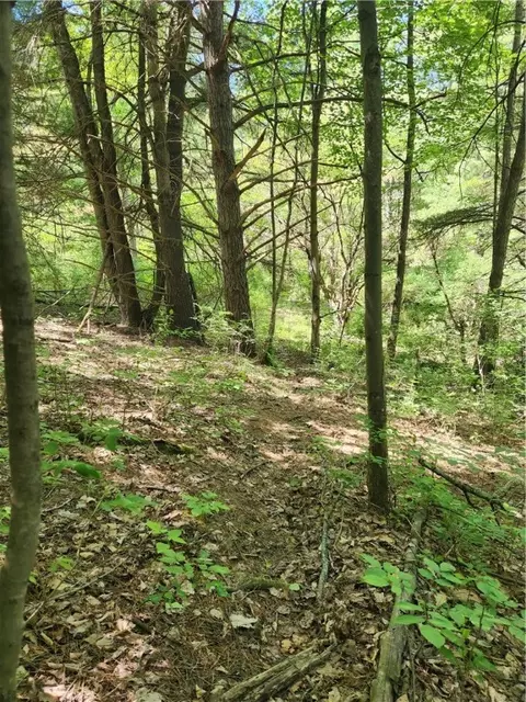0 Sand Pit Rd, Bath, NY 14810 photo 9