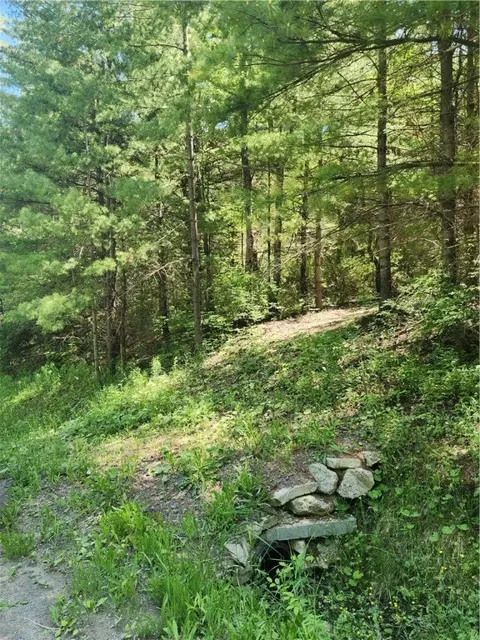 0 Sand Pit Rd, Bath, NY 14810 photo 3