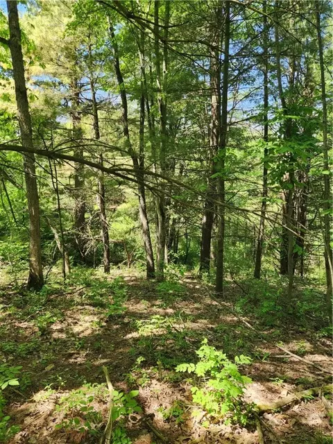 0 Sand Pit Rd, Bath, NY 14810 photo 13