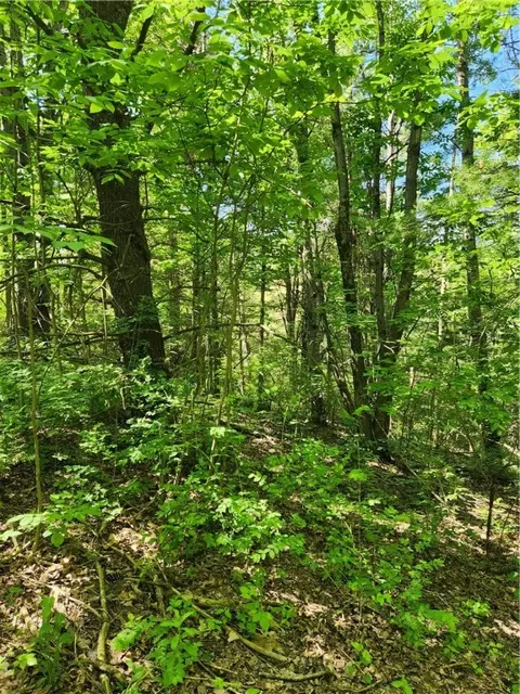 0 Sand Pit Rd, Bath, NY 14810 photo 12
