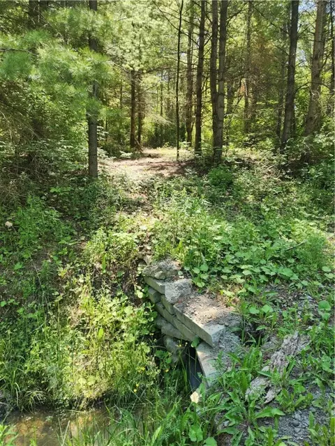 0 Sand Pit Rd, Bath, NY 14810 photo 4