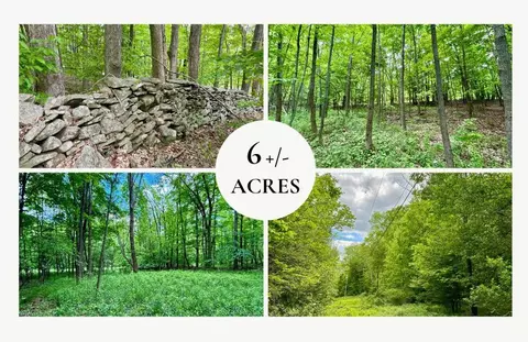 lot14 State Highway 10, Jefferson, NY 12093