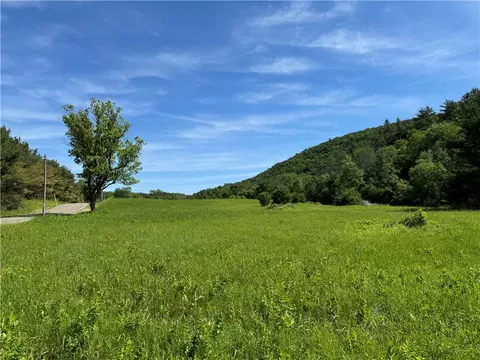0 Michigan Hollow Rd, Spencer, NY 14883