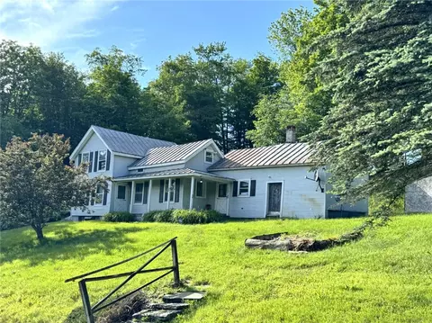 203 Stahl Rd, Mount Vision, NY 13810