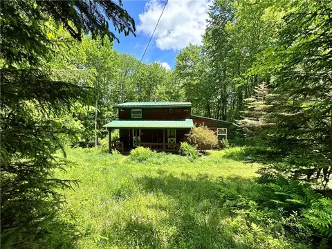 2358 Scott Rd, Kortright, NY 13739
