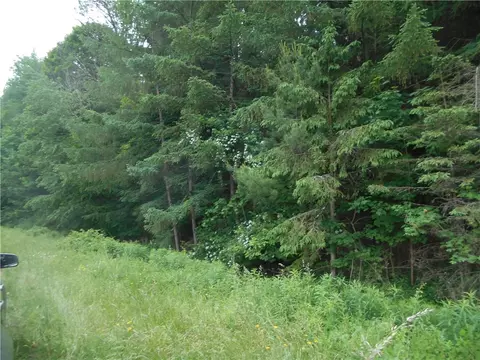 Undisclosed, Bainbridge, NY 13733