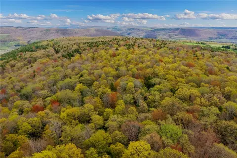 8018 Shadow Tree Ln, Avoca, NY 14810
