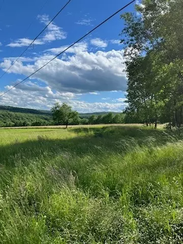 1731 Ed Klug Rd, Franklin, NY 13775