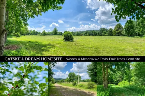 0 Sweet Pea Dr, Franklin, NY 13753