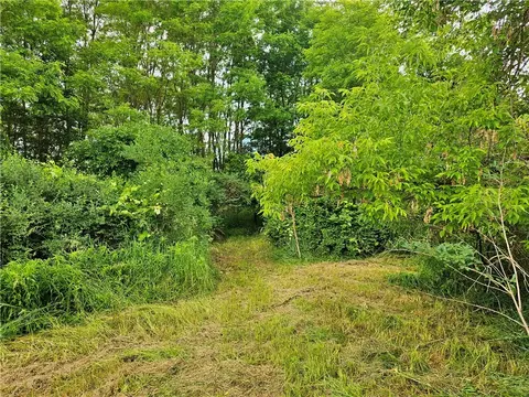 2712 Coates Rd, Jerusalem, NY 14527 photo 10