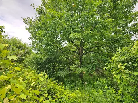 2712 Coates Rd, Jerusalem, NY 14527 photo 13