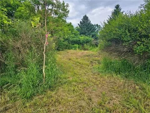 2712 Coates Rd, Jerusalem, NY 14527 photo 9