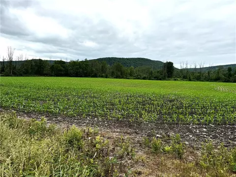 00 State Route 415 Rd, Campbell, NY 14821