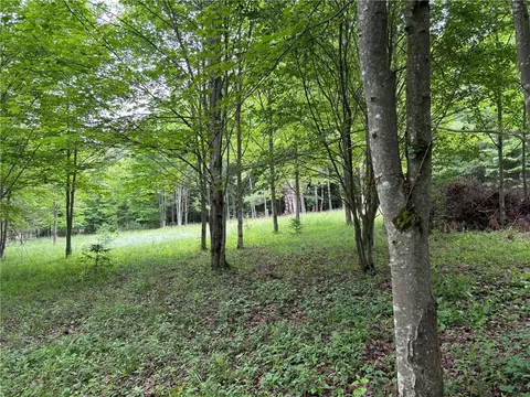 0 Pine Hill Rd, Masonville, NY 13804