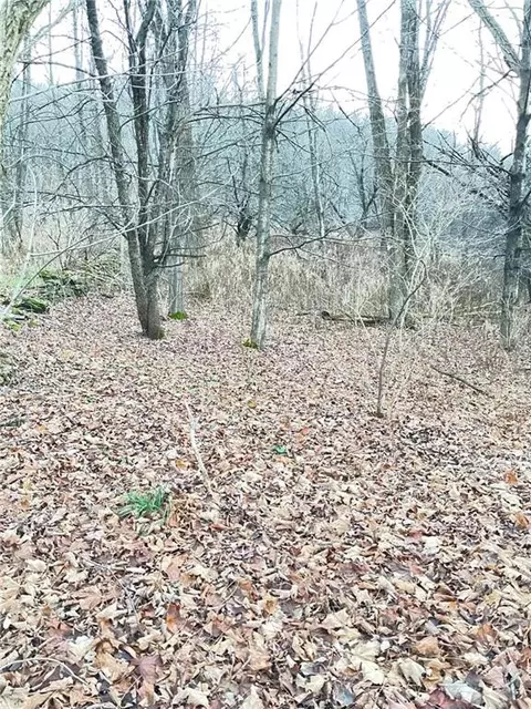 L35 State Highway 165, Roseboom, NY 13450