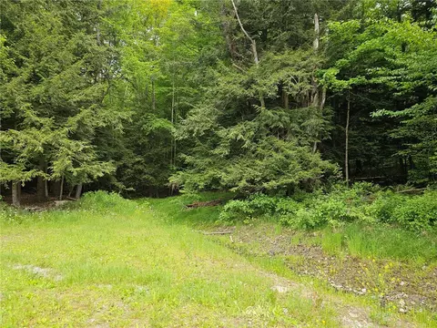 9782 County Route 7, Wheeler, NY 14873 photo 36