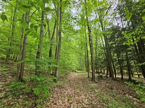 9782 County Route 7, Wheeler, NY 14873 photo 41