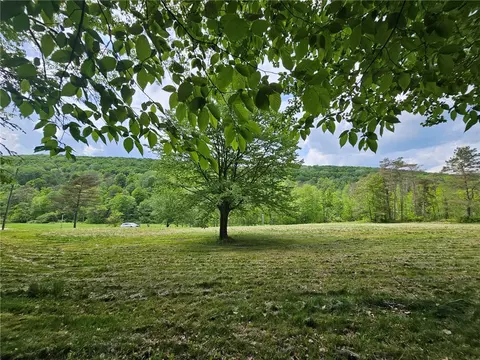 9782 County Route 7, Wheeler, NY 14873 photo 42