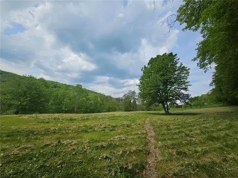 9782 County Route 7, Wheeler, NY 14873 photo 39