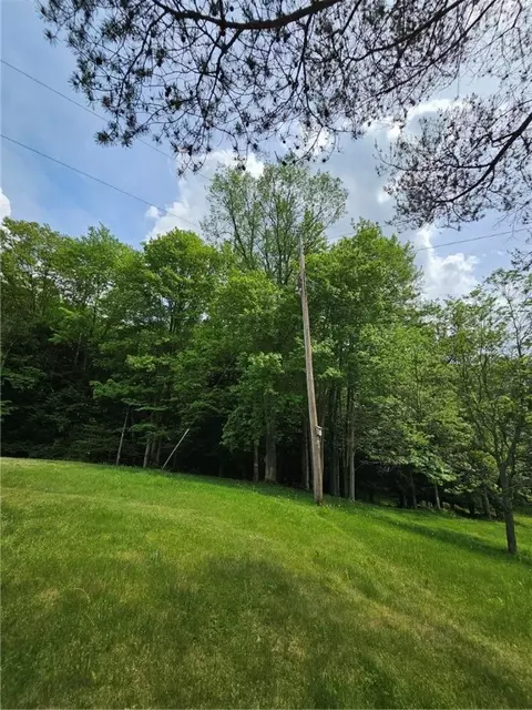 9782 County Route 7, Wheeler, NY 14873 photo 38