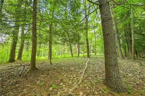 139 Deer Path, Jefferson, NY 12167
